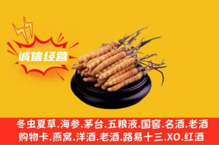 庆阳回收冬虫夏草